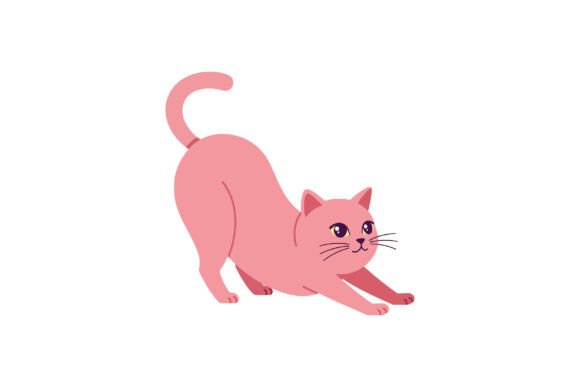 Playful Pink Cat Stretching in a Minimal