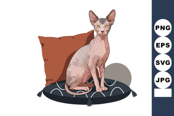 Sphynx Cat Sitting on Patterned and Soli